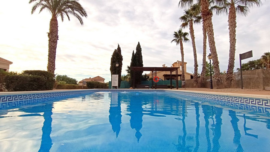 02 hda belgica 100 (1)