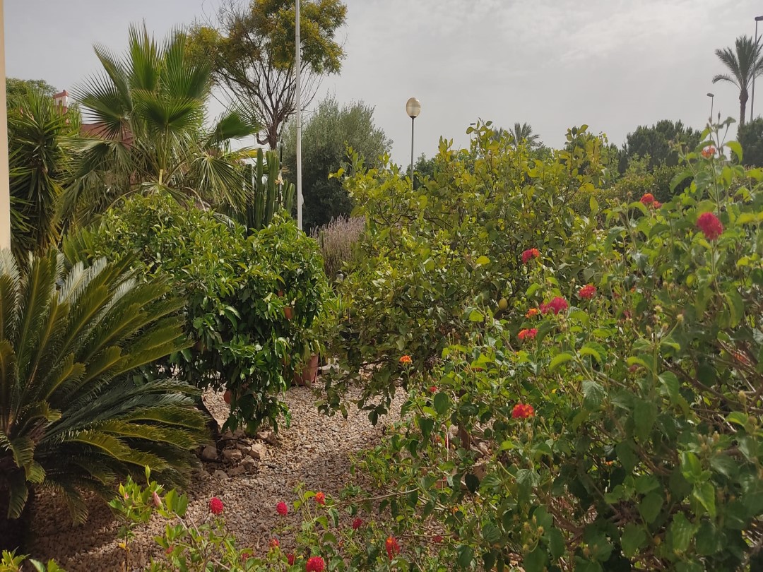 13d302d3 59c0 4934 a319 55ddf5e48e3a