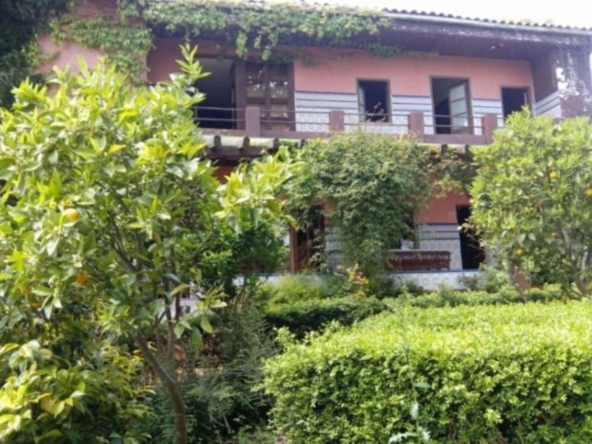 2094 1 2020120921042931250