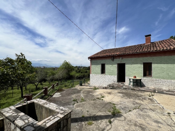 2411 o 1j09cuth21ba56e4dfahkugpq1e