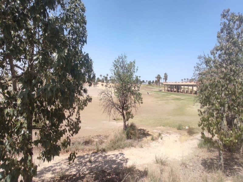 B014931d 041f 4d83 91b2 70b0c574286d