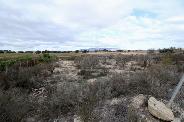 M img 2069