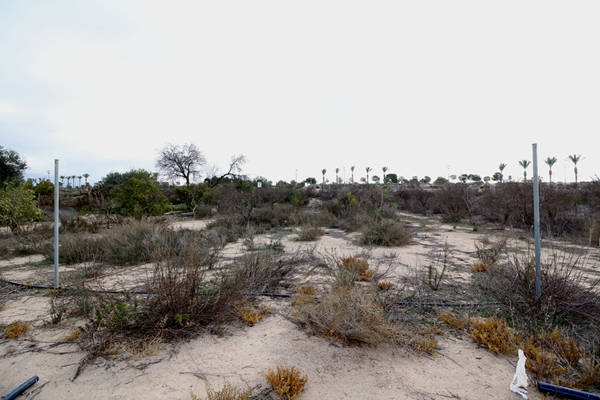 M img 2071