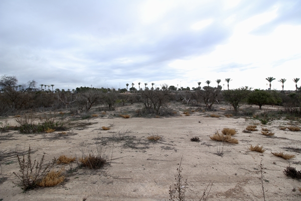 M img 2072