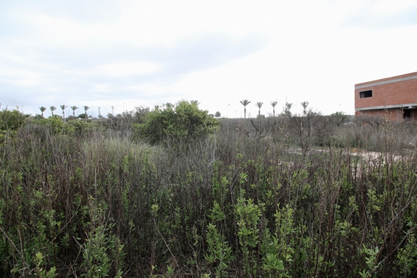 M img 2073