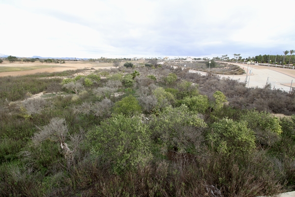M img 2074