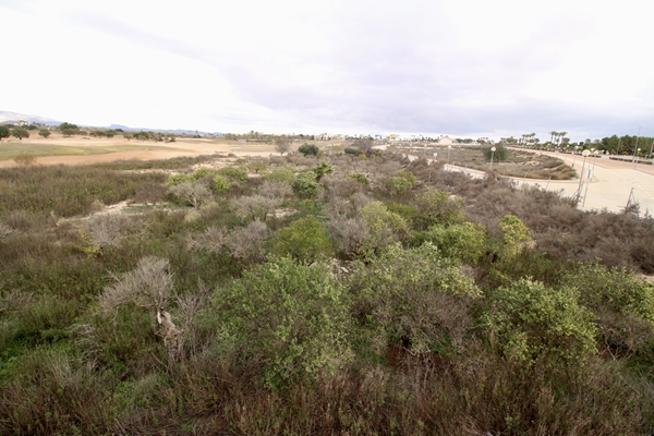 M img 2077