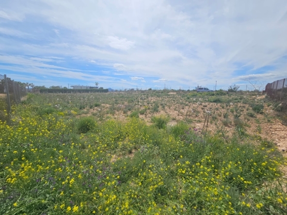 M imagen de whatsapp 2025 04 17 a las 14.52.46 ce13c8c0