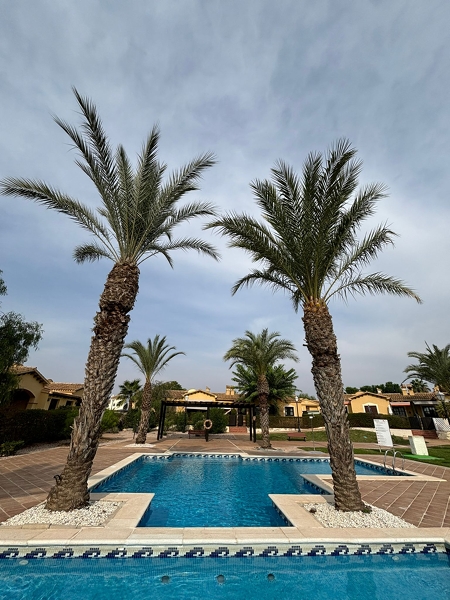 M imagen de whatsapp 2025 09 18 a las 12.34.15 39ce5579