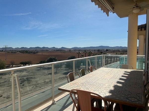 M m whatsapp image 2025 02 13 at 13.20.24 (2)