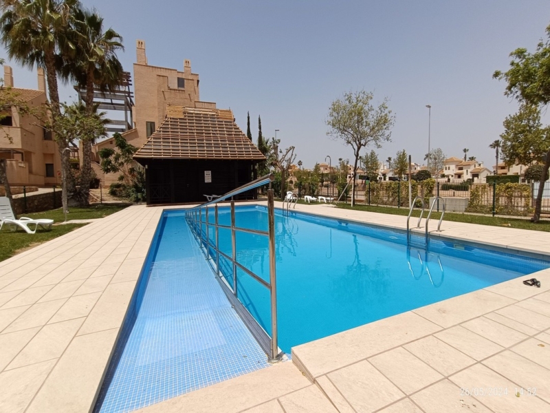 Picina oasis