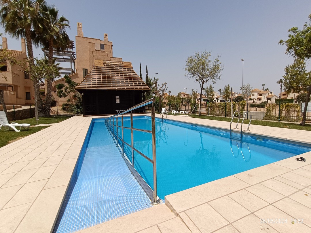 Picina oasis