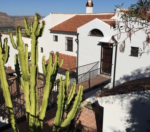 115614 for sale in pizarra 28085661 large