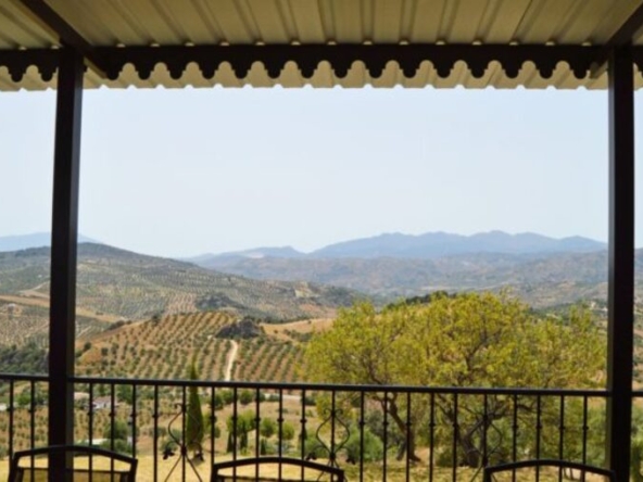 177845 for sale in alozaina 40241688 large