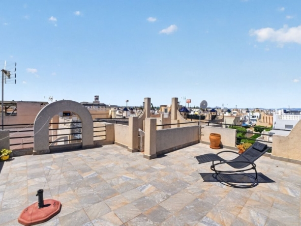 Apartment torrevieja 2420